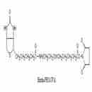 生物素-PEG-琥珀酰亚胺戊酸酯 Biotin-PEG-SVA