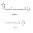 生物素-PEG-琥珀酰亚胺戊酸酯和聚乙二醇-琥珀酰亚胺戊酸酯套装