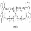 四臂聚乙二醇SC酯 4 arm PEG-Succinimidyl Carbonate