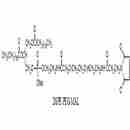 二硬脂酰基磷脂酰乙醇胺-PEG-马来酰亚胺 DSPE-PEG-Maleimide