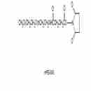 甲氧基聚乙二醇SAS酯四分子量套装 mPEG-Succinimidyl Amido Succinate, 4 MW Kit