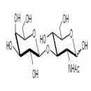 Lacto-N-Biose