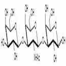 Core type 4 / Gb5 Triaose core structure