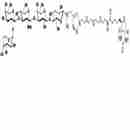 Blood group H antigen pentaose type 1-Nacetyl-Spacer 3-Biotin