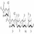 二唾液酸五糖1型