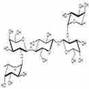 二岩藻糖五糖