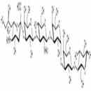 唾液酸iGb5类似物1型