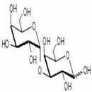 α1-3半乳二糖