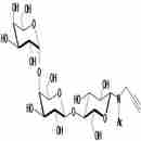 Globo三糖-β-N-乙酰基-丙炔