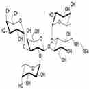 3-岩藻糖-B血型抗原四糖-BSA