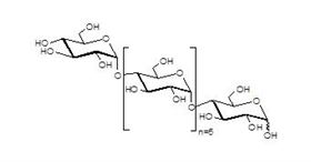 麦芽七糖 Maltoheptaose