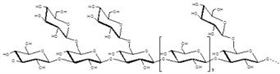 香菇多糖 Lentinan polysaccharide 