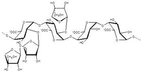 芹半乳糖醛酸多糖(钠盐) Apiogalacturonan polysaccharide