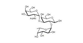 Blood group A antigen triaose