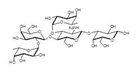 Lewis Y抗原五糖
