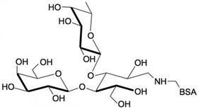 3-岩藻乳糖-BSA