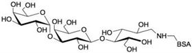 异球抗原三糖-BSA / 3'-半乳糖乳糖-BSA / 线性B-6三糖-BSA