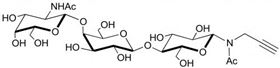 aGM2神经节苷脂类糖-N-乙-酰丙炔