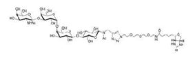 Gb4-Nac-空间构型3-生物素 Globotetraose-Nac-sp3-biotin