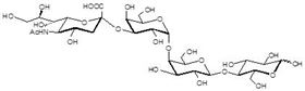 3-唾液酸-GB3糖 Sialylated globotriose / 3-Sialyl-Gb3