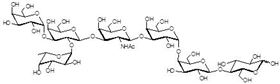 Globo-B七糖 Globo-B heptaose