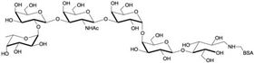 Globo-H六糖 Globo-H hexaose / Stage Specific Embryonic Antigen 3b / SSEA-3b linked to BSA