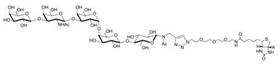 Gb5-N-Acetyl-spacer 3-Biotin Globopentaose-N-Acetyl-spacer 3-Biotin