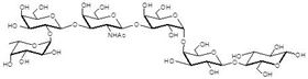 阶段特异性胚胎抗原3b Globo-H hexaose / Stage Specific Embryonic Antigen 3b / SSEA-3b