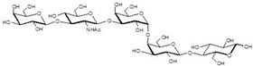 Gb五糖类似物1型 Globopentaose analogue type 1 / Gb5 analogue type 1