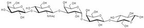iGb5 类似物1型 Isoglobopentaose analogue type 1 / iGb5 analogue type 1