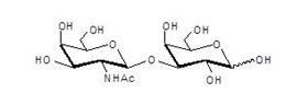 Gb4 红细胞糖苷酯终端,Gb4 Globoside terminal