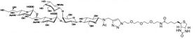 GD2神经节苷脂类糖-β-N-乙酰–空间构型3-生物素,GD2 Ganglioside sugar-β-NAc-Spacer3-Biotin