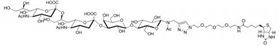 GD3神经节苷脂类糖-β-N-乙酰–空间构型3-生物素 (铵盐),GD3-β-N-Acetyl–spacer3-Biotin (ammonium salt)