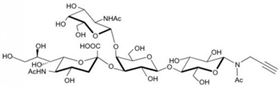 GM2神经节苷脂类糖-β-N-乙酰基-丙炔,GM2 Ganglioside sugar-β-NAc-Propargyl