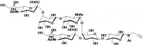 GD1a神经节苷脂类糖-β-N-乙酰基-丙炔,GD1a Ganglioside sugar-β-NAc-Propargyl