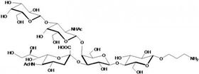 GM1a神经节苷脂类糖-β-氨丙基,GM1a Ganglioside sugar-β-Aminopropyl