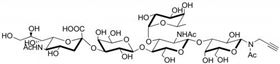 唾液酸 Lewis X抗原五糖-N-乙酰基-丙炔,Sialyl Lewis<sup>X</sup> pentaose-N-acetyl-Propargyl