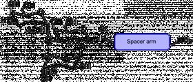 Lewis y抗原五糖-β-N-乙酰基-空间构型3-生物素,Lewis<sup>y</sup> pentaose-β-N-Acetyl-spacer3-Biotin