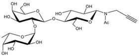 2' 岩藻糖乳糖-N-乙酰基-丙炔,2' Fucosyllactose-β-NAc-Propargyl