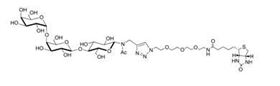 Lewis y抗原五糖-β-N-乙酰基-空间构型3-生物素,Lewis<sup>y</sup> pentaose-β-N-Acetyl-spacer3-Biotin