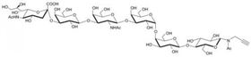 SSEA-4六糖-β-N-乙酰基-丙炔,SSEA-4 hexaose-β-NAc-Propargyl