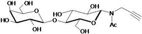 乳糖-β-N-乙酰基-丙炔, Lactose-β-NAc-Propargyl