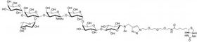 Globo-B七糖-N-乙酰基-空间构型3-生物素 , Globo-B heptaose-N acetyl-spacer 3-Biotin