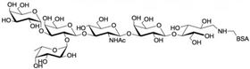 A血型抗原六糖2型-BSA , Blood group A antigen hexaose type 2 linked to BSA