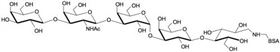 iGb五糖-BSA, Isoglobopentaose linked to BSA / iGb5- BSA