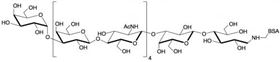 Galili抗原十一糖-BSA, Galili antigen undecaose linked to BSA