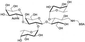 3-岩藻糖-A血型抗原四糖-BSA, 3-Fucosylated Blood group A tetraose linked to BSA