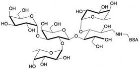 3-岩藻糖-B血型抗原四糖-BSA, 3-Fucosylated Blood group B tetraose linked to BSA