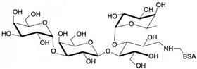 α-3半乳糖-3岩藻糖乳糖-BSA, α-3Galactosyl-3Fucosyllactose linked to BSA