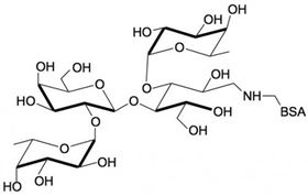 乳糖二岩藻糖四糖-BSA, Lactodifucotetraose linked to BSA / DF-L-BSA / Difucosyllactose-BSA